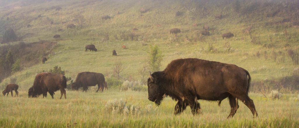 Source: North Dakota Tourism